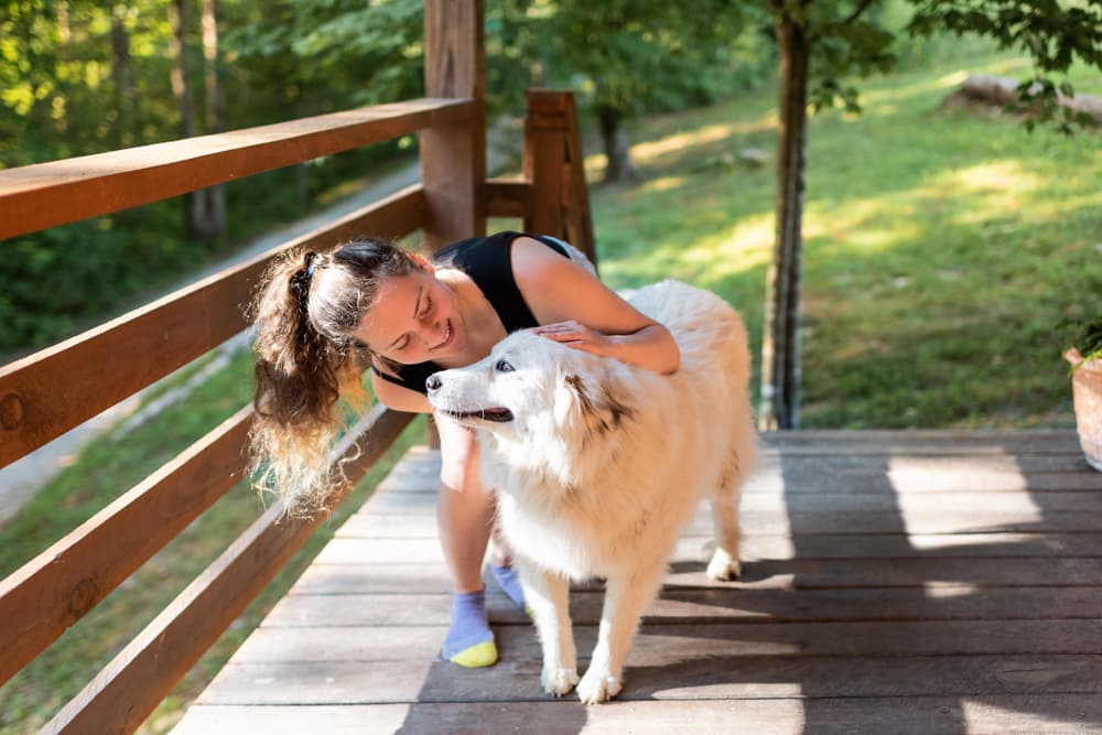 Woman petting her Great Pyrenees dog
