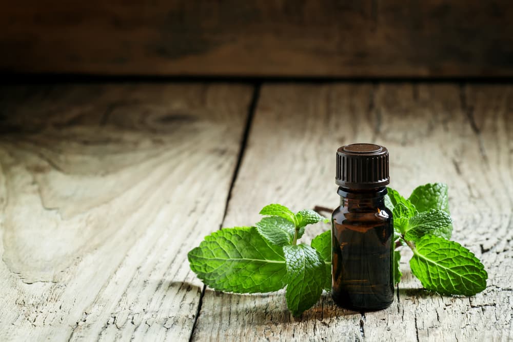 peppermint essential oil