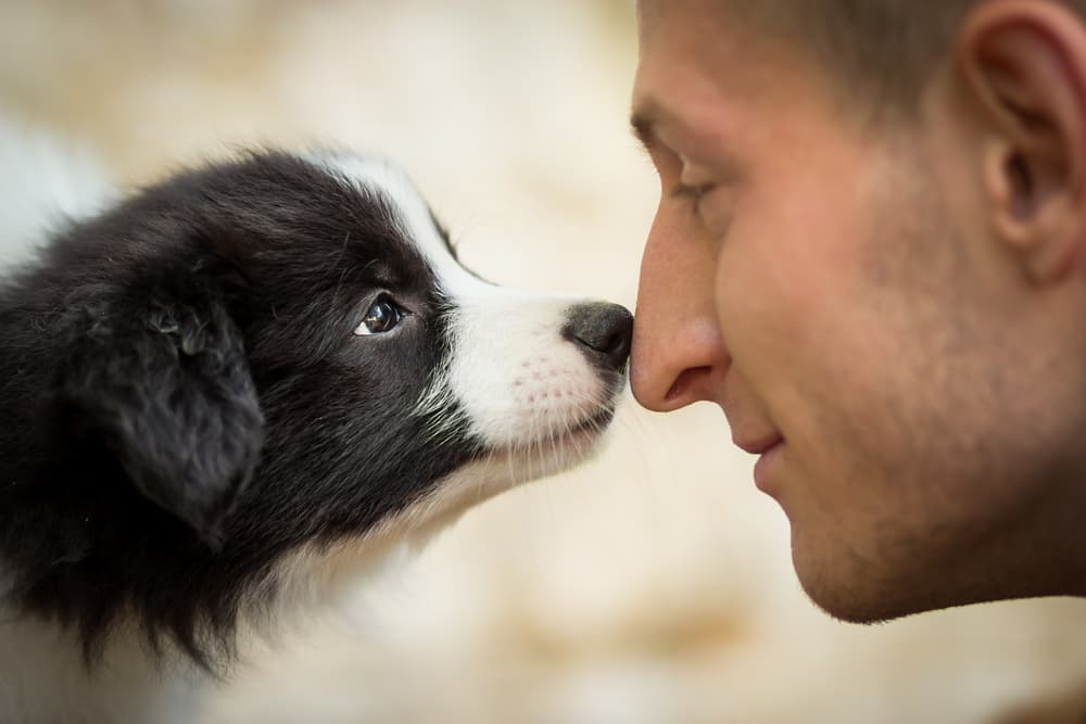 man pressing nose to dogs nose