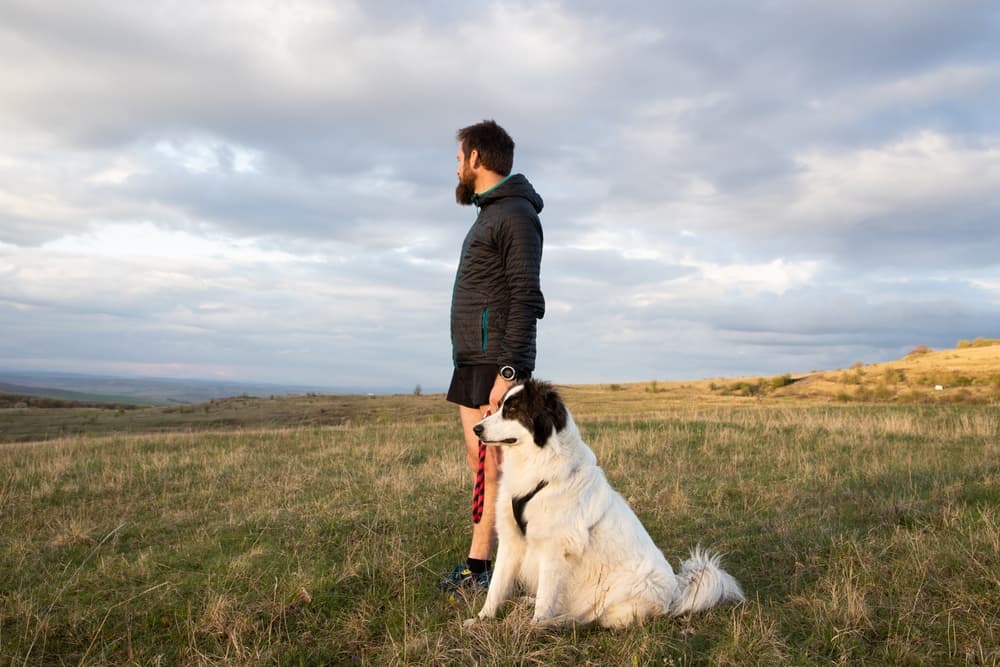 Dog standing with owner after taking a walk