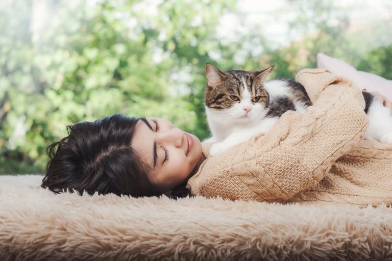 Cat sleeping on owner's chest
