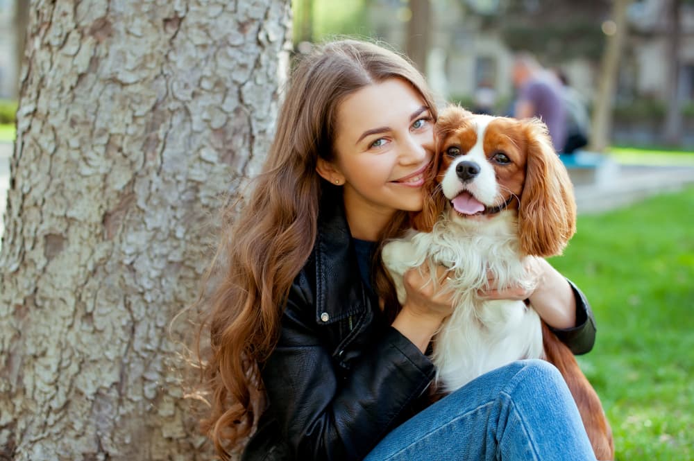 Cavalier King Charles sitting on the lap of her owner