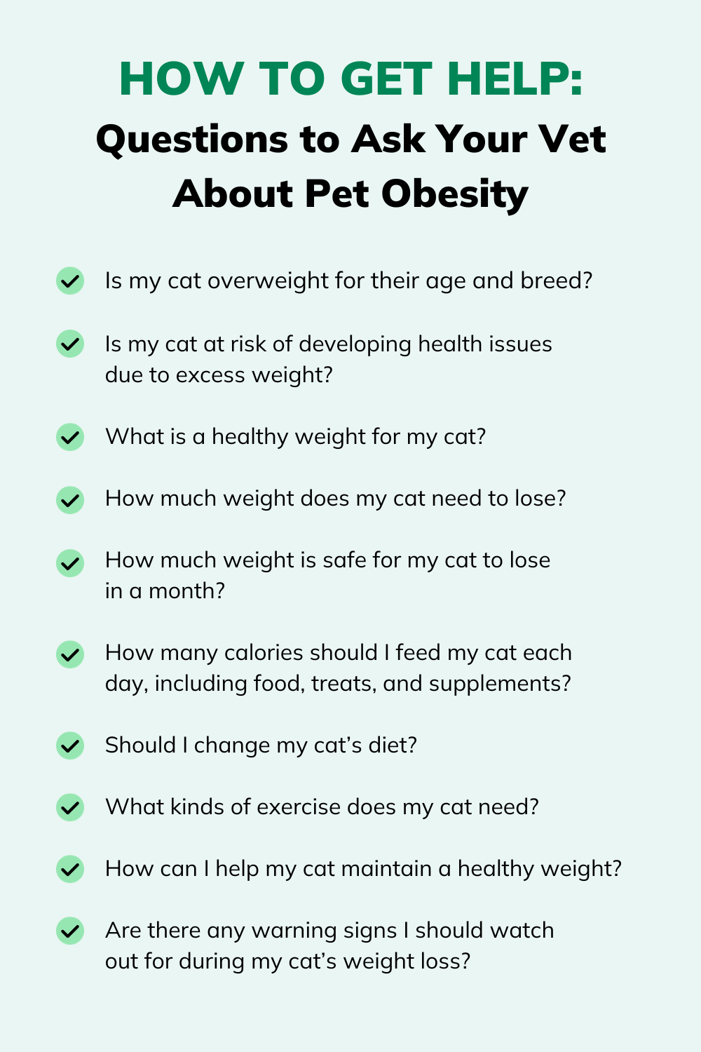 List of questions to ask your vet about cat obesity
