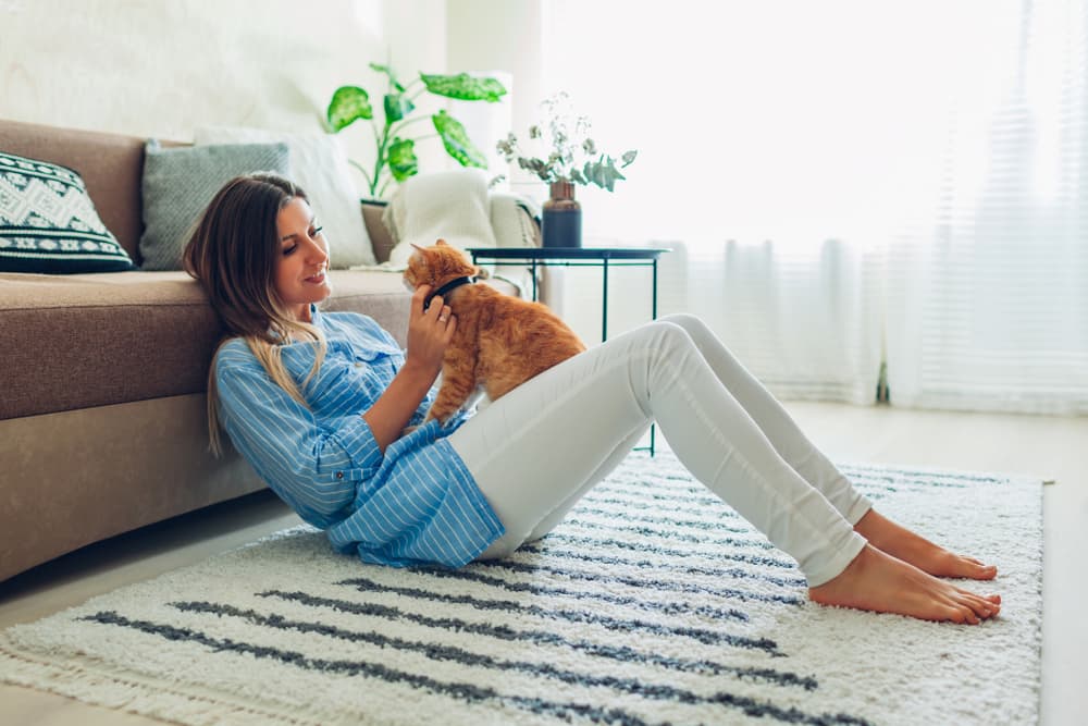 Pet parent playing with cat