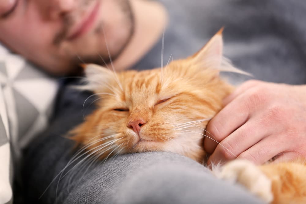 Man cuddling orange cat