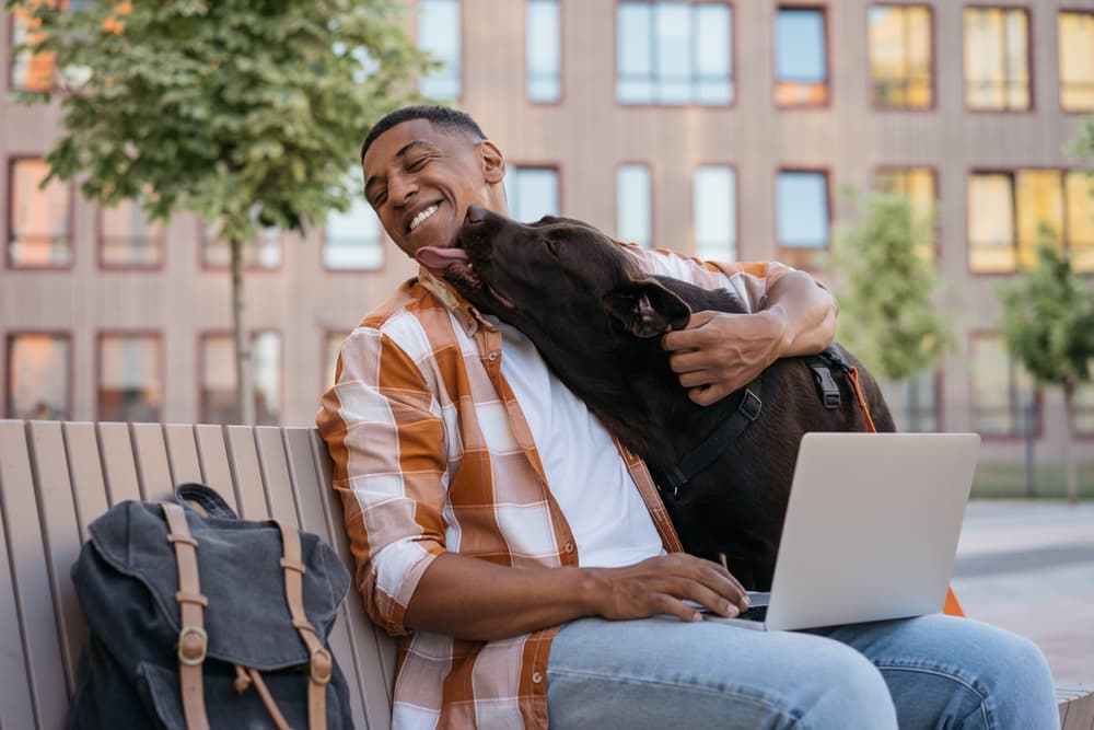 Dog with owner next to laptop
