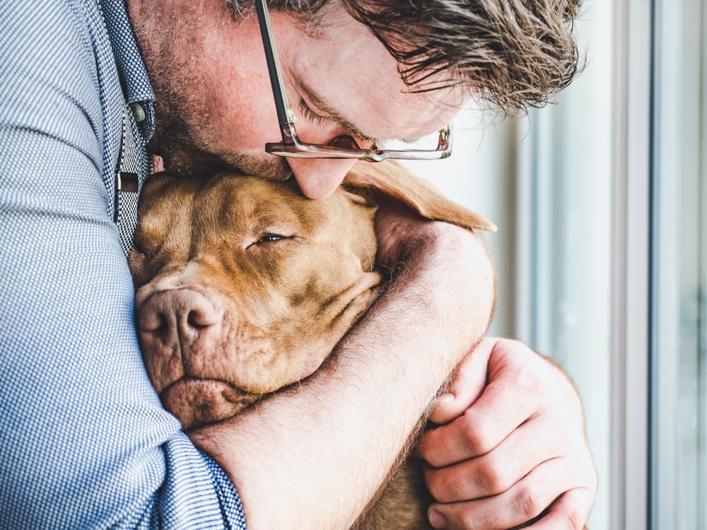 Man hugging sick dog