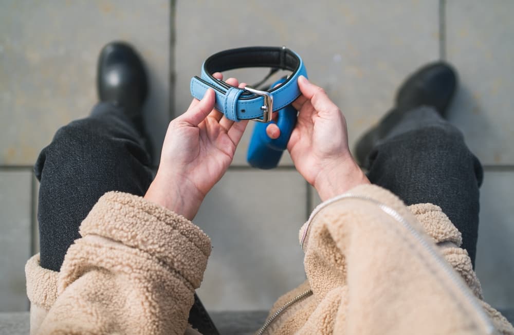 Woman holding dog collar