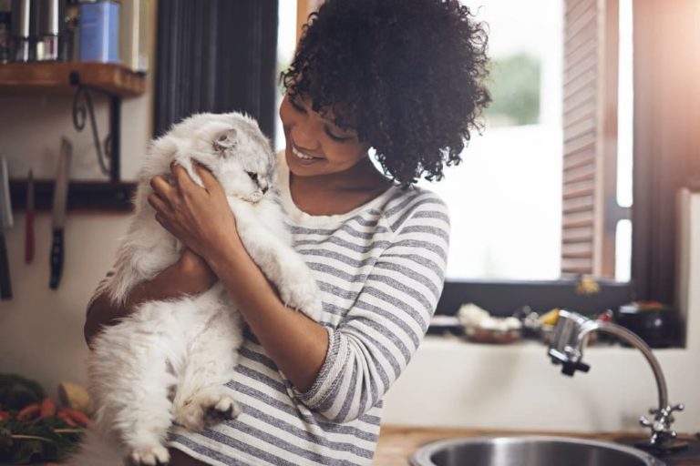 Young woman cuddles her flat faced cat
