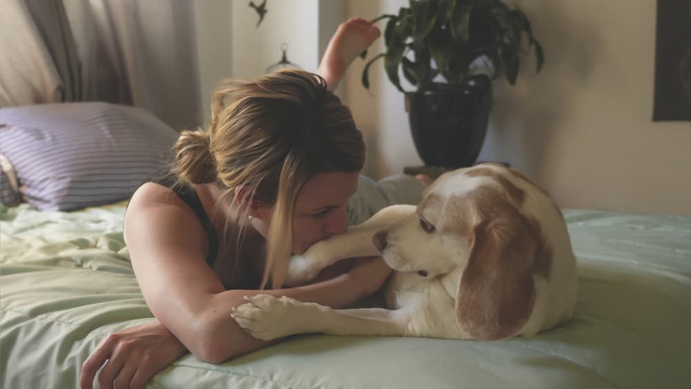 Woman with senior dog on bed