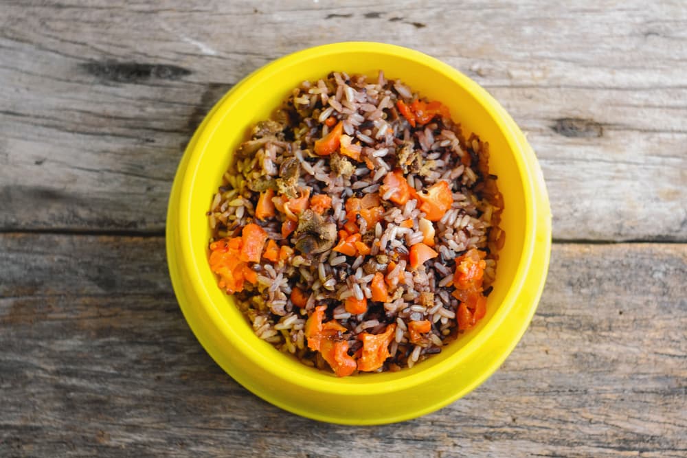 Fresh dog food in yellow bowl