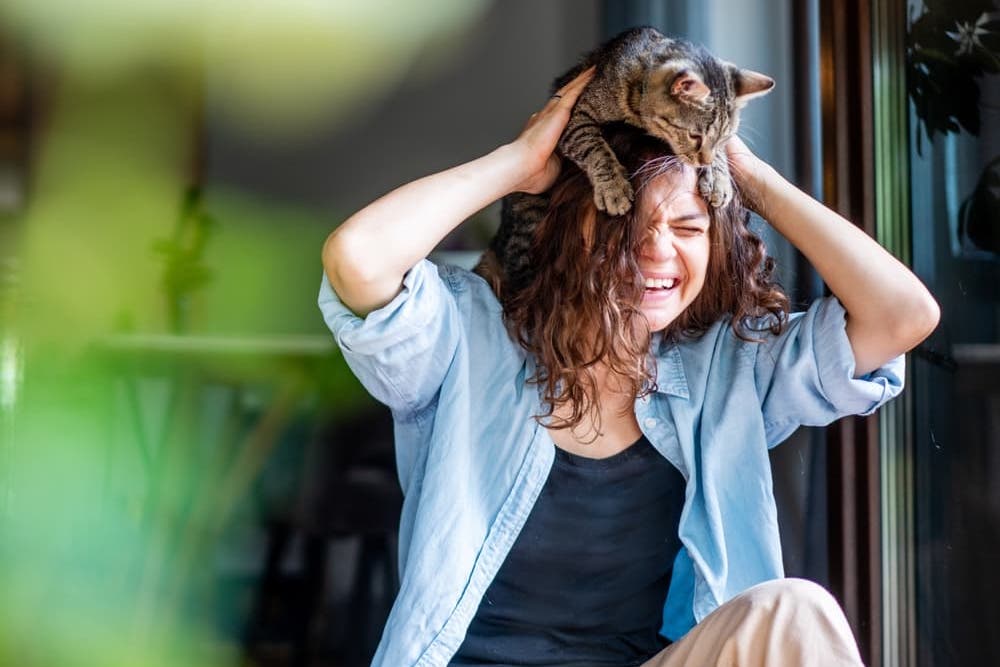 Owner holding cat and laughing
