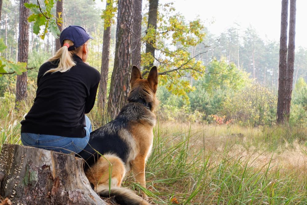 Lady and dog sitting in forrest