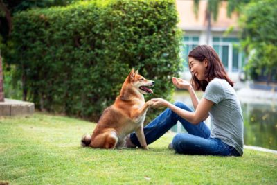 5 Reasons You Should NEVER Punish Your Dog 5 Reasons You Should NEVER Punish Your Dog