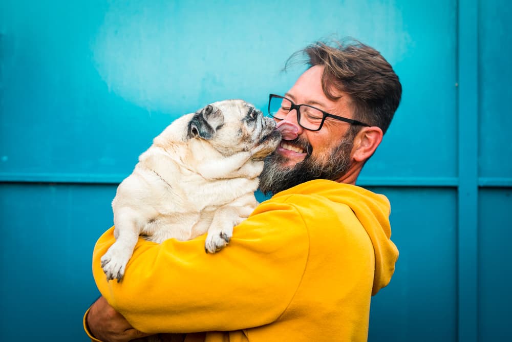 Man hugging senior pug