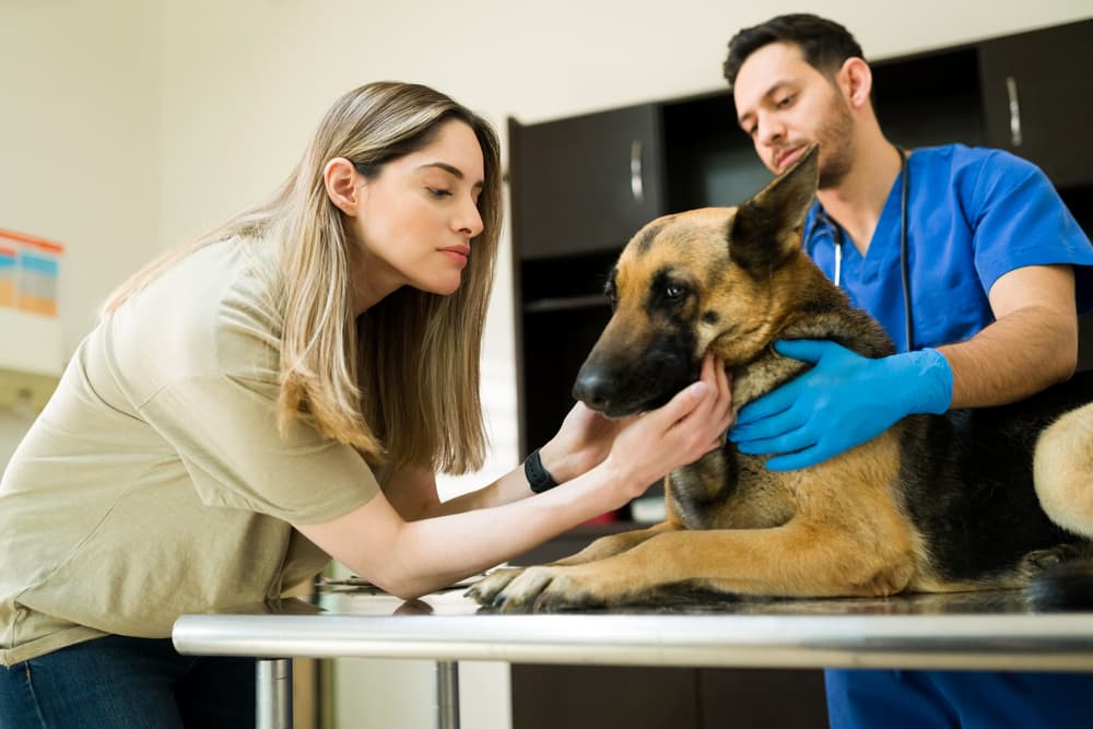Woman and dog at vet