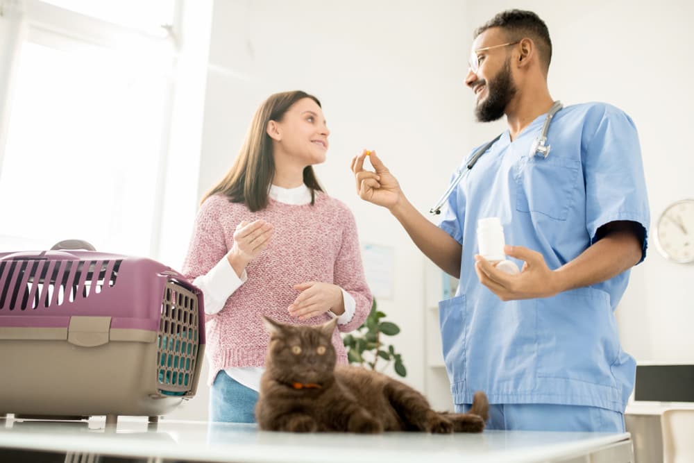 Cat owner talking to vet holding a pill