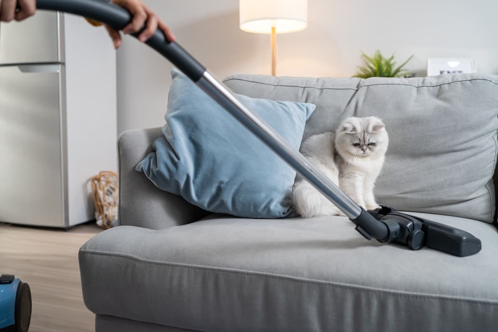 woman vacuuming with cat