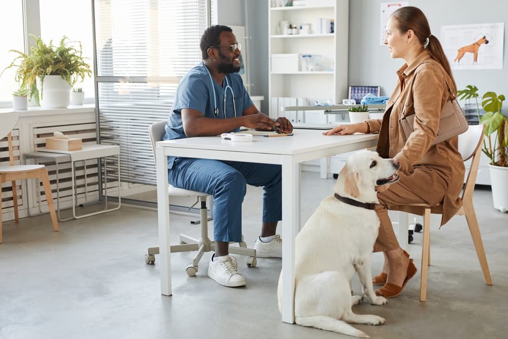 Veterinarian explaining test results to pet parent