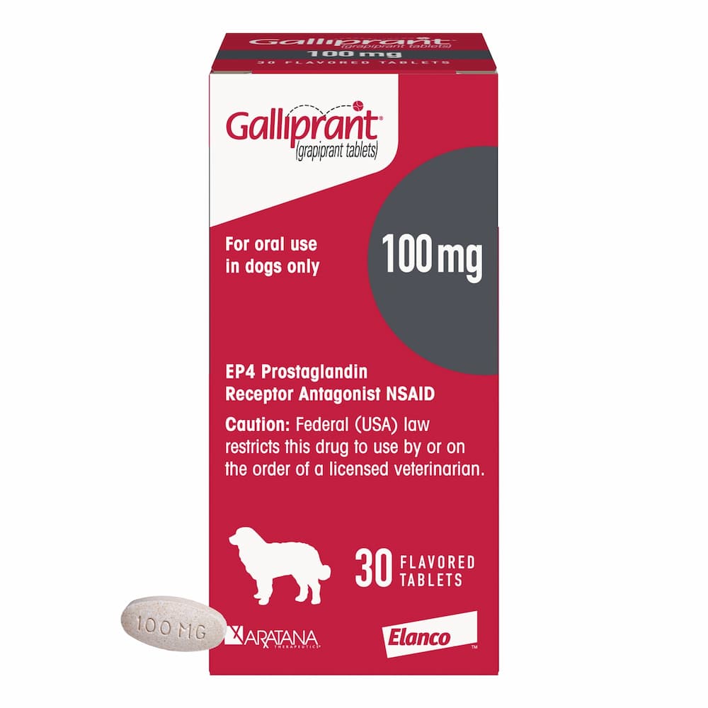 Galliprant for large dogs