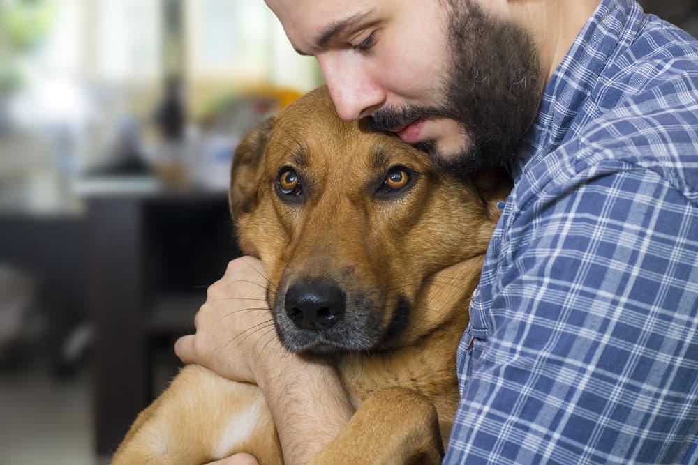 Dog being held by owner