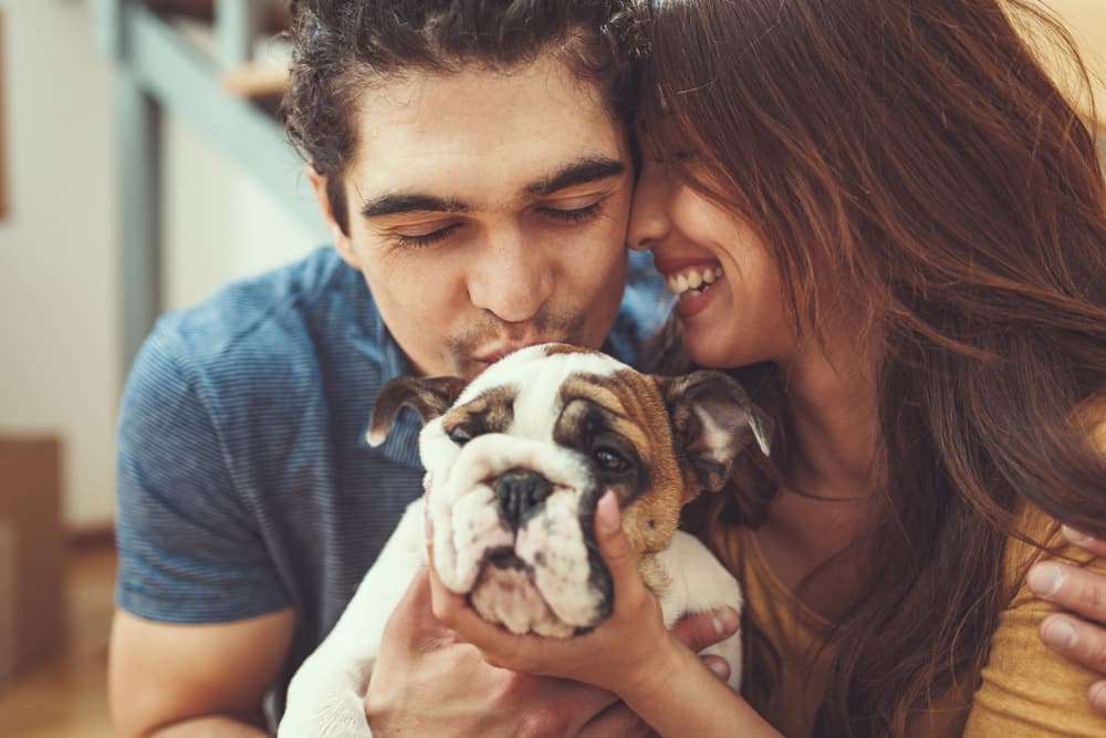 Happy couple with bulldog