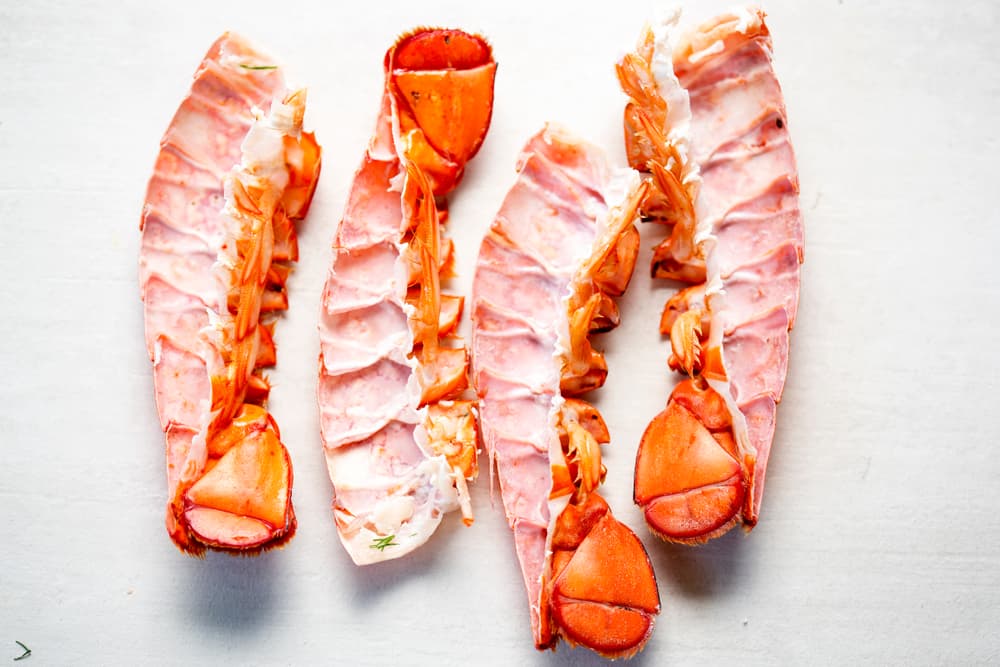 can dogs eat lobster