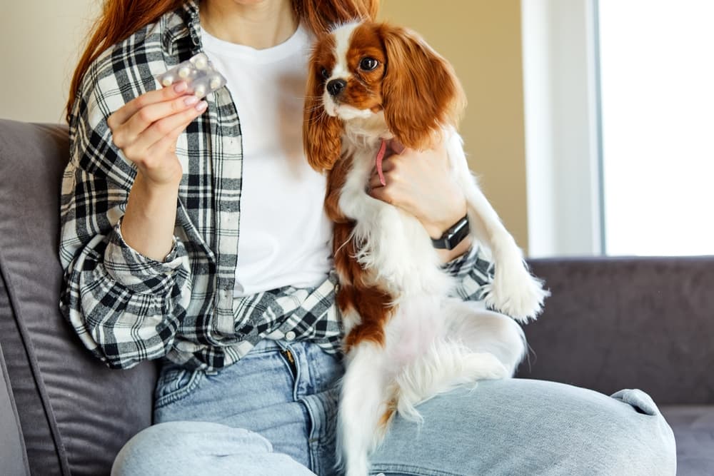 Woman holding pills for dog