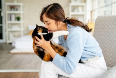 9 Things Your Senior Cat Wants to Tell You