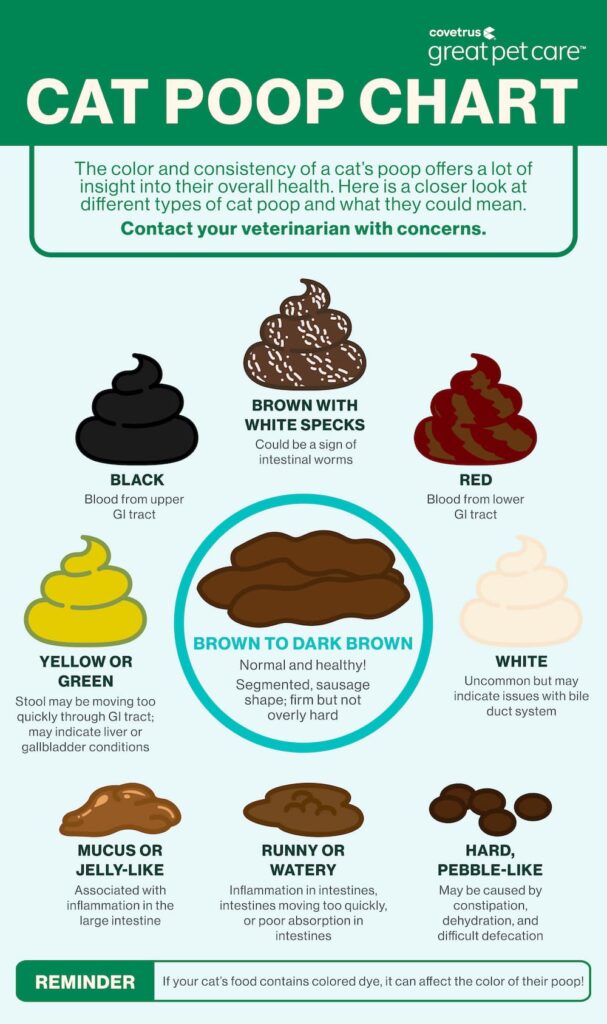 Cat Poop Chart