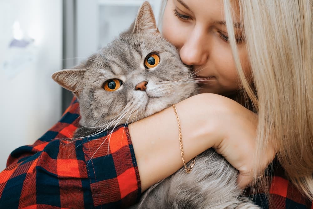 Cat being held by owner in pain