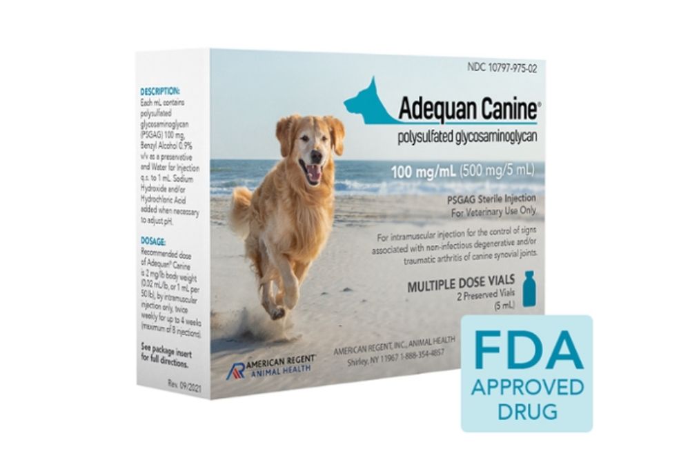 Adequan for dogs