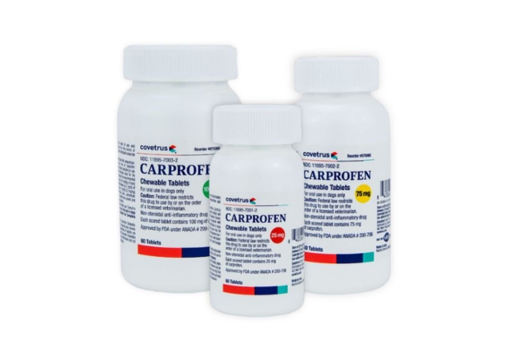 Carprofen chewables for dogs