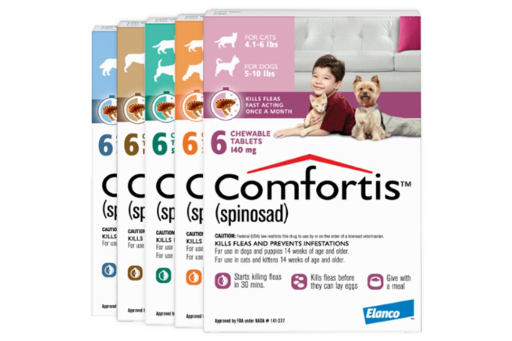 Comfortis for cats