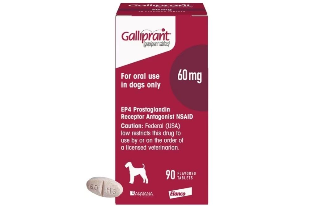 Galliprant for dogs