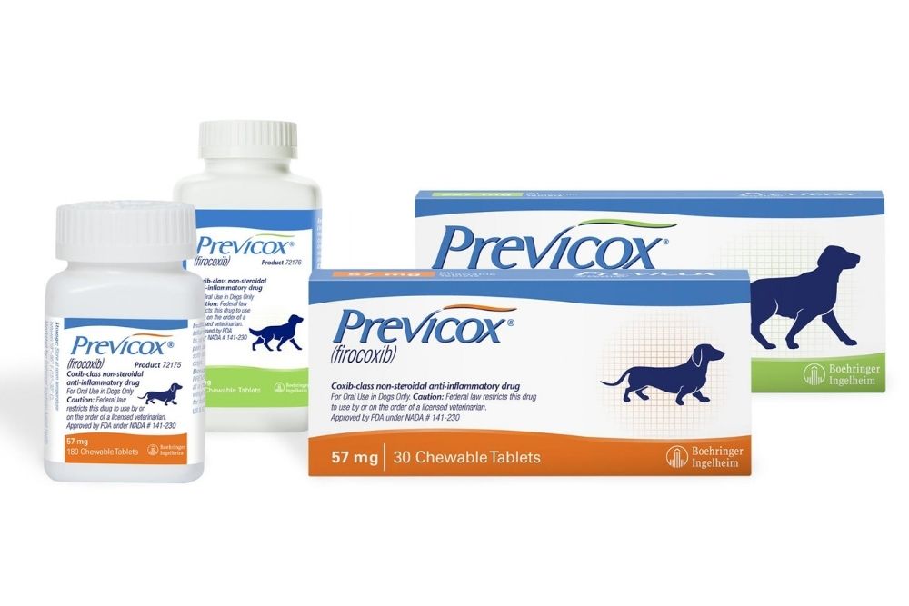 Previcox for dogs