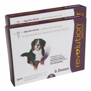 Revolution for dogs package