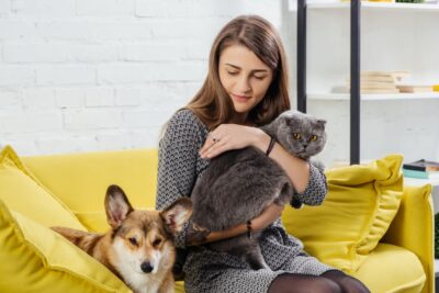 8 Things Your Senior Dog Wants You To Know