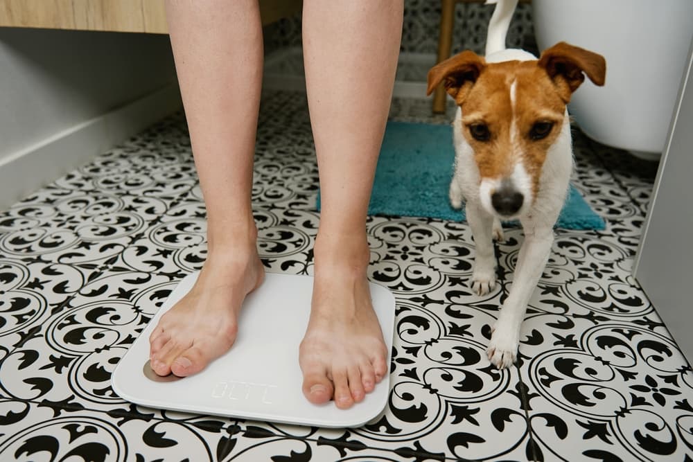 Person standing barefoot on scale with dog next to them