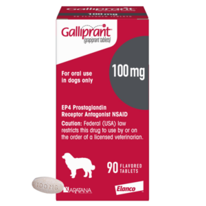 Galliprant OA medication