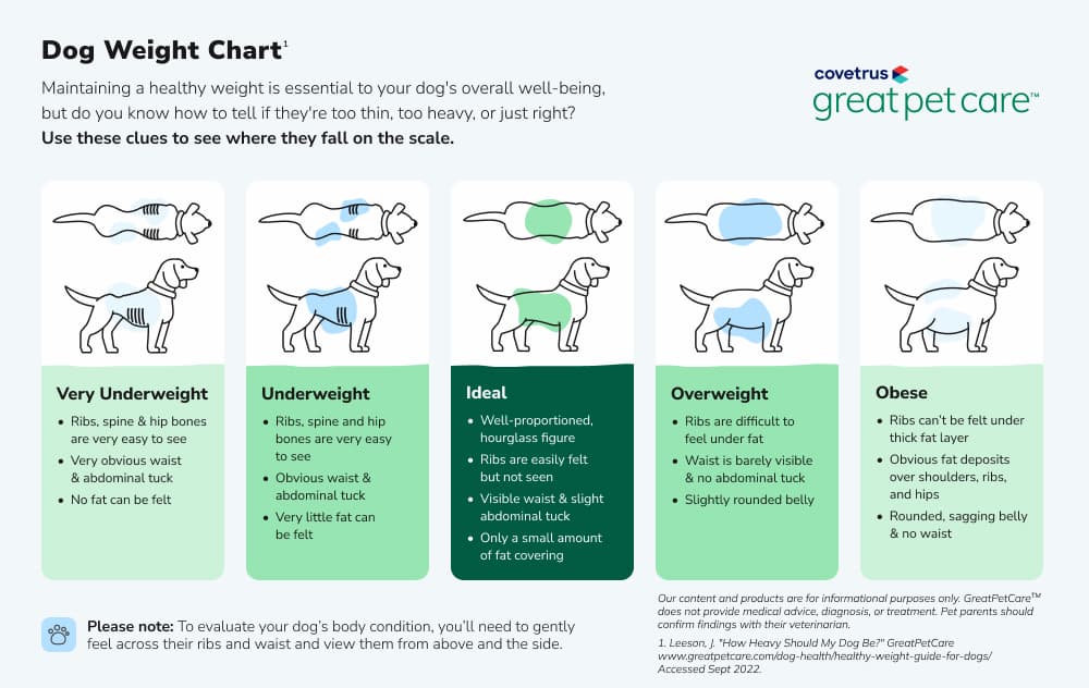 Dog Weight Chart
