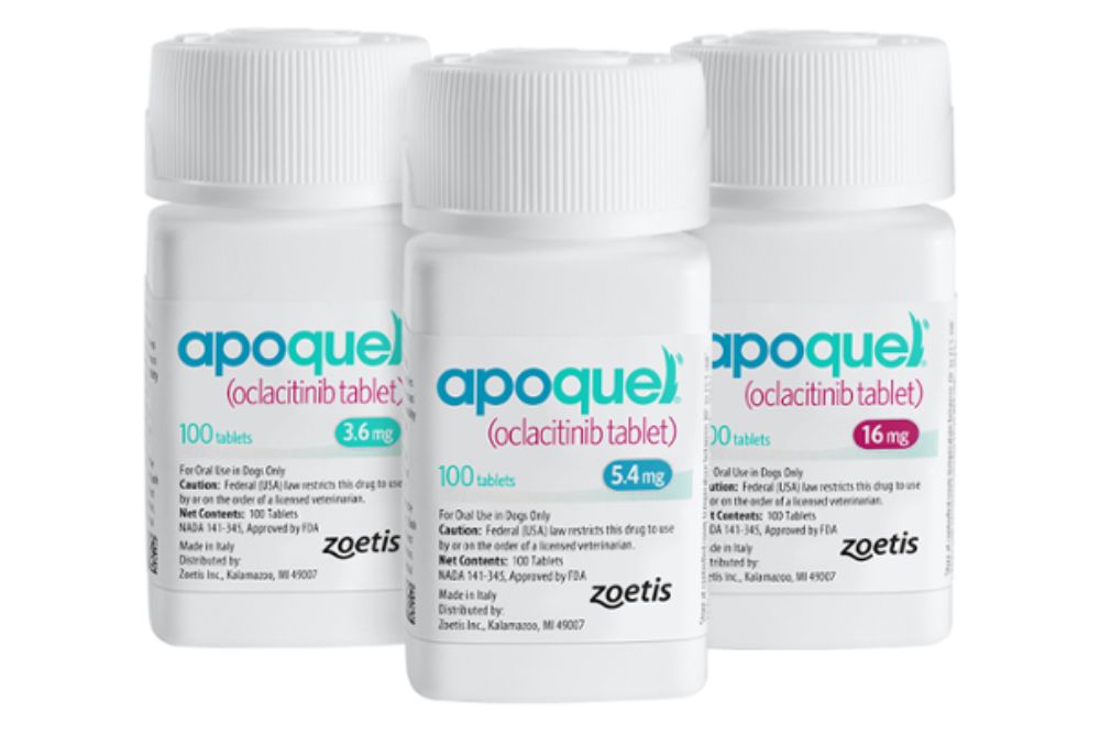 Apoquel tablets for dog allergies