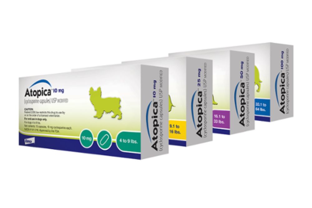 Atopica for dog allergies