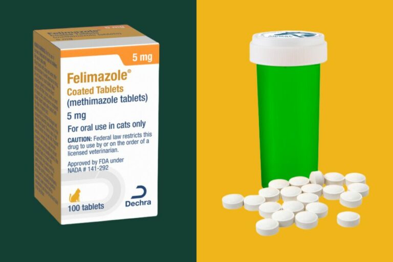Felimazole and methimazole image