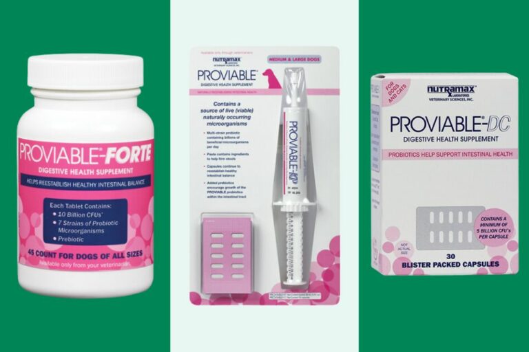 Proviable chewables capsules and kits