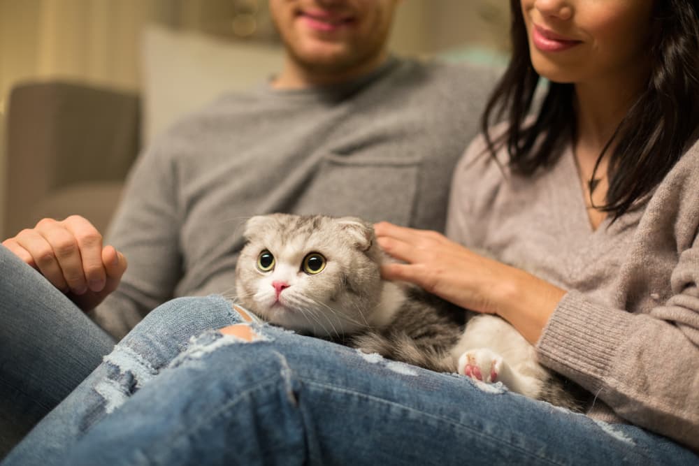 Family sitting with cat on the sofa