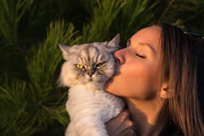 How Long Does a Cat Hold a Grudge? How Long Does a Cat Hold a Grudge?