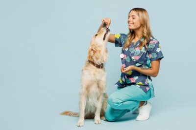 7 Dog Allergy Medications Prescribed By Vets