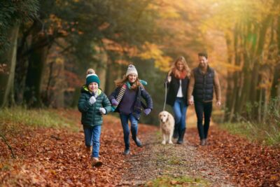 Pet Parasites in the Northeast: A Regional Overview of Species and Risks Pet Parasites in the Northeast: A Regional Overview of Species and Risks