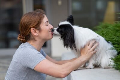 Are Dogs’ Mouths Cleaner Than Humans’?